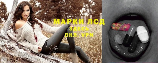 стаф Алексин