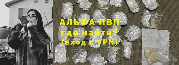 стаф Алексин