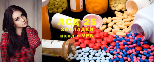 стаф Алексин