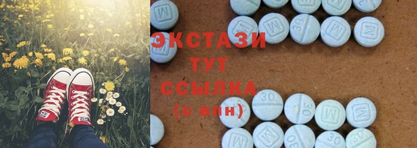 стаф Алексин
