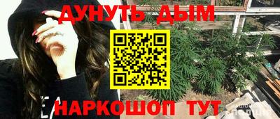дмт Сланцы