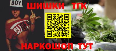 дмт Сланцы