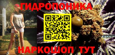 дмт Сланцы